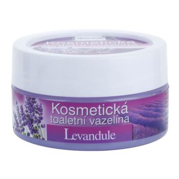 Bione Cosmetics Lavender vaselina cosmetica cu lavanda 155 ml
