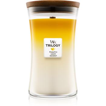 Woodwick Trilogy Fruits of Summer lumânare parfumată  mediu 609.5 g