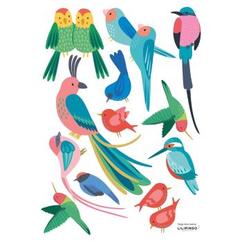 Folie cu stickere 30x42 cm Rio Tropical Birds – Lilipinso