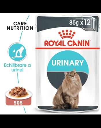 Royal Canin Urinary Care Adult hrana umeda pisica pentru sanatatea tractului urinar, 12 x 85 g