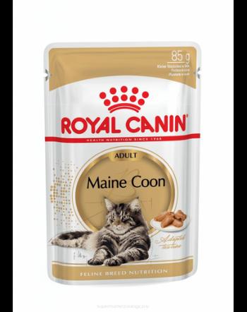 ROYAL CANIN Mainecoon hrană umedă în pliculețe 48x85 g