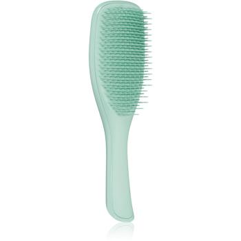 Tangle Teezer Ultimate Detangler Fine & Fragile Dark Teal perie pentru toate tipurile de păr 1 buc