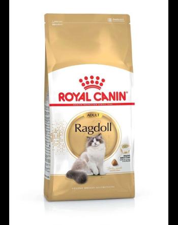 ROYAL CANIN Ragdoll Adult 20 kg (2 x 10 kg) hrană uscată pentru pisici Ragdoll adulte
