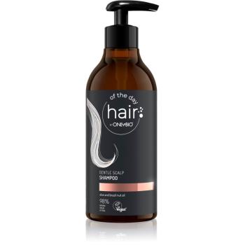 OnlyBio Hair Of The Day sampon delicat pentru utilizarea de zi cu zi cu aloe vera 400 ml