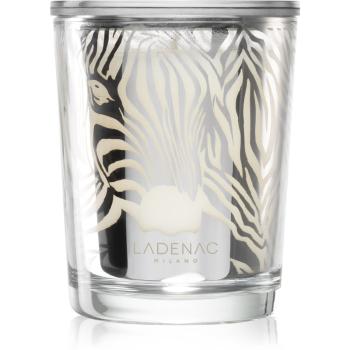 Ladenac Africa Zebra Camouflage lumânare parfumată 70 g