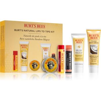 Burt’s Bees Lips To Tips set cadou pentru hidratare intensa IV.