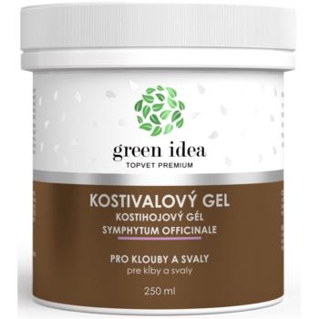 Green Idea Massage gel Costival gel pentru masaj muschii si articulatiile 250 ml