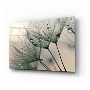 Tablou din sticlă Insigne Green Dandelion, 72 x 46 cm