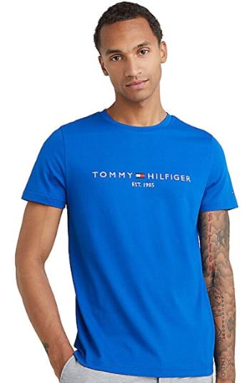 Tommy Hilfiger Tricou pentru bărbați Slim Fit MW0MW11797C5K M