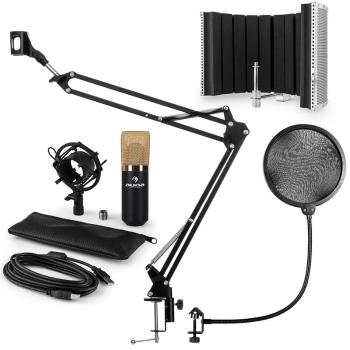Auna MIC-900BG-V5, auriu, set de microfon, microfon cu condensator, filtru pop, panou de absorbție, braț