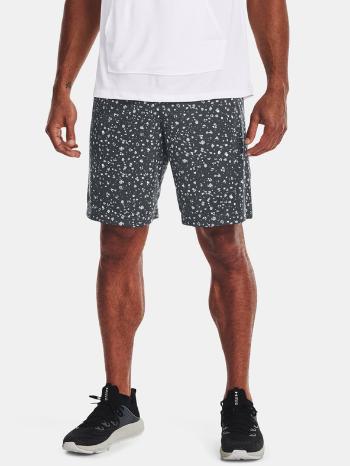 Under Armour UA Tech Printed Pantaloni scurți Gri