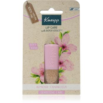 Kneipp Sensitive Care Almond & Candelilla balsam de buze aroma Almond & Candelilla 4.7 g