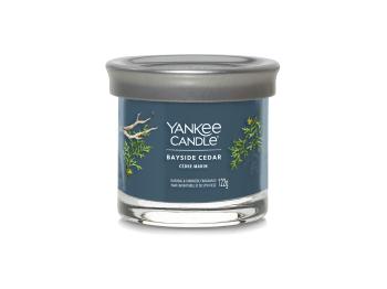 Yankee Candle Lumânare aromatică Signature tumbler mic Bayside Cedar 122 g