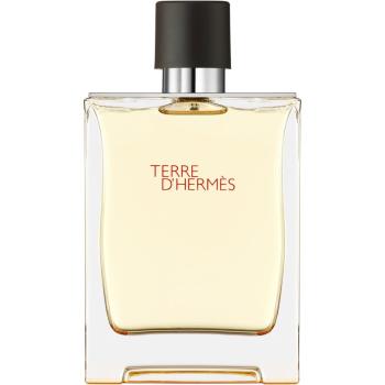 HERMÈS Terre d’Hermès Eau de Toilette pentru bărbați 200 ml