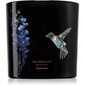 Vila Hermanos Jungletopia Hummingbird lumânare parfumată 620 g