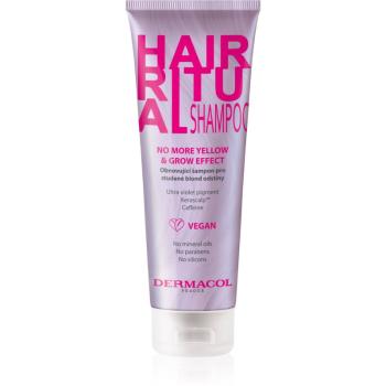 Dermacol Hair Ritual șampon regenerator pentru nuante inchise de blond 250 ml