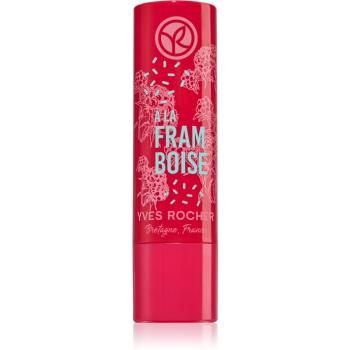 Yves Rocher Bain de Nature balsam de buze Raspberry 4,8 g