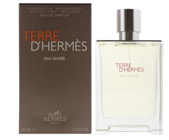 Hermes Terre d`Hermès Eau Givrée - EDP (reumplere) 100 ml