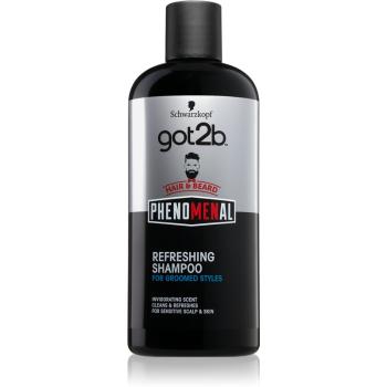 got2b Phenomenal șampon revigorant, pentru păr și barbă 250 ml