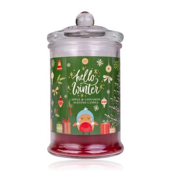 Accentra Lumânare parfumată Hello Winter (Scented Candle) 230 g