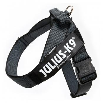 JULIUS-K9 IDC Color & Gray, ham bandă câini, L, 23-30kg, negru