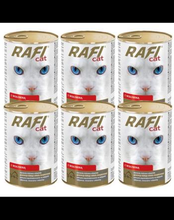 DOLINA NOTECI Rafi Adult Conserve pentru pisici adulte, cu vita 6x415 g