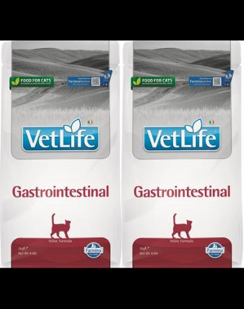 FARMINA Vet life Gastrointestinal Cat hrana uscata pisici cu probleme de stomac 2 x 2 kg