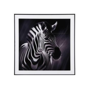 Tablou 50x50 cm  Zebra  – PT LIVING