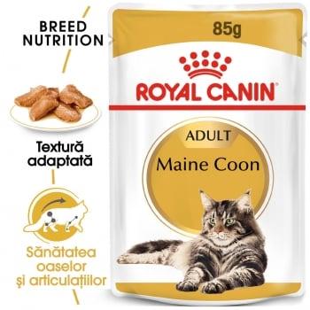 Royal Canin Maine Coon Adult, plic hrană umedă pisici, (în sos), 85g