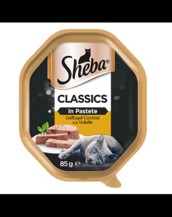 SHEBA Classics 85g*22 Koktajl Drobiowy - mokra karma dla kotów w pasztecie + 6x50g Fresh &amp; Fine GRATIS