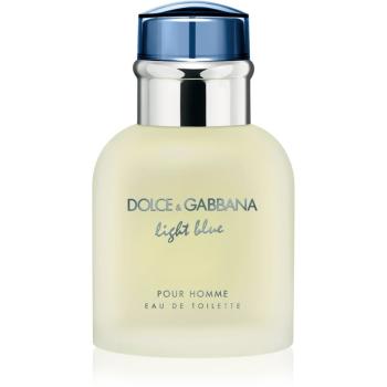 Dolce & Gabbana Light Blue Pour Homme Eau de Toilette pentru bărbați 40 ml