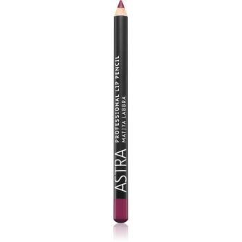 Astra Make-up Professional Lip Pencil creion contur buze culoare 43 Bordeaux 1,1 g