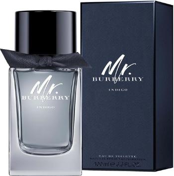 Burberry Mr. Burberry Indigo - EDT 100 ml