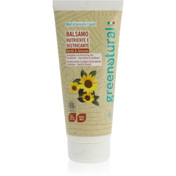 Greenatural Hair Conditioner Sunflower & Shea Butter balsam hranitor pentru păr cu unt de shea 200 ml