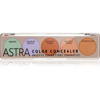 Astra Make-up Palette Color Concealer paleta corectoare 6,5 g