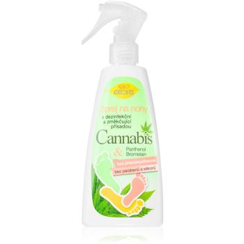 Bione Cosmetics Cannabis deodorant pentru picioare 260 ml