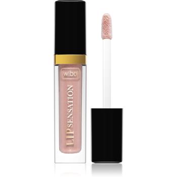 Wibo Lip Sensation lip gloss 06 5 g