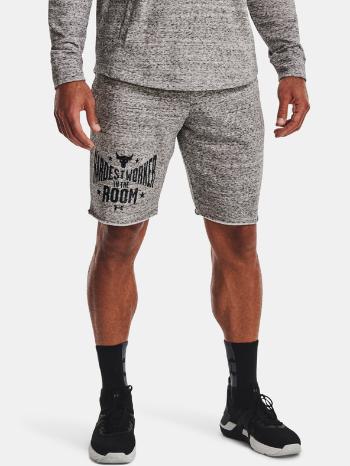 Under Armour Project Rock Terry Pantaloni scurți Gri