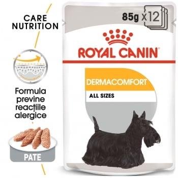 Royal Canin Dermacomfort Adult, bax hrană umedă câini, prevenirea iritațiilor pielii (pate), 85g x 12