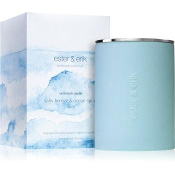 ester & erik scented candle salty breeze & ocean spray (no. 37) lumânare parfumată 350 g