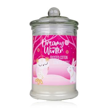 Accentra Lumânare parfumată Dreamy Winter (Scented Candle) 230 g