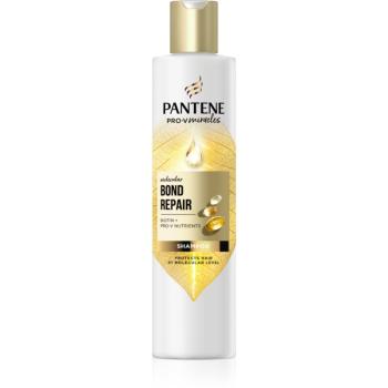 Pantene Pro-V Bond Repair șampon fortifiant pentru păr deteriorat cu biotina 250 ml