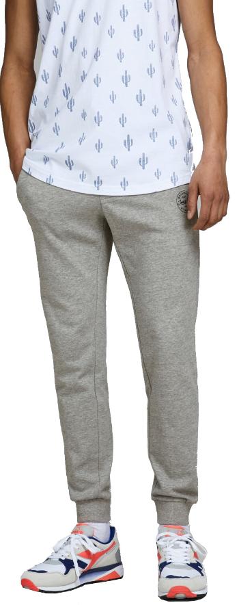 Jack&Jones Pentru bărbați pantaloni JJIGORDON JJSHARK PANTALONI sudoripare VIY Noos Light Grey Melange M