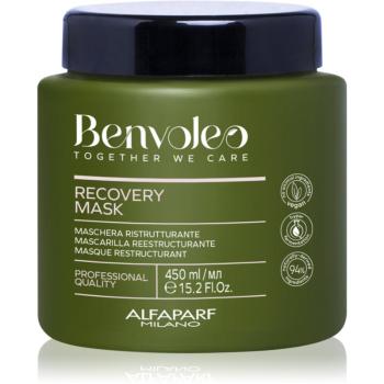 Alfaparf Milano Benvoleo Recovery Masca regeneratoare pentru par deteriorat 450 ml