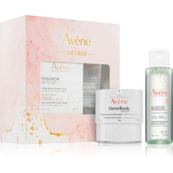 Avène Hyaluron Activ B3 Gift Set set cadou de Crăciun nutritie si hidratare