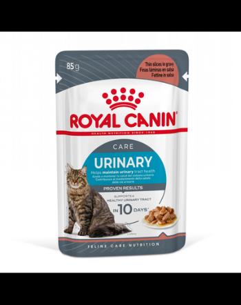 Royal Canin Urinary Care 12 x 85 g in sos, hrana umeda pisica pentru sanatatea tractului urinar