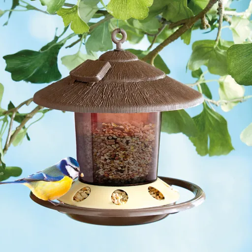 Hrănitoare pentru păsări