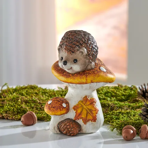 Ciuperci decorative cu arici