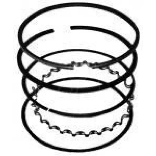 Segmenti Generator BRIGGS - STRATTON 7HP 295852