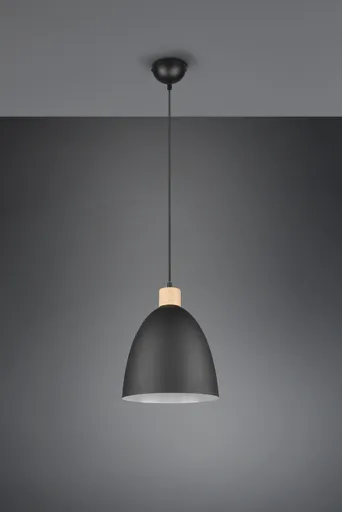 Lustra Jagger, RL, 25x150 cm, 40W, 1x E27, metal, negru mat